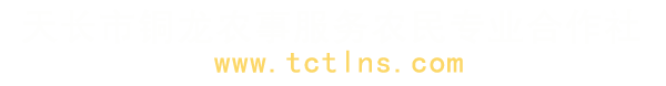 天长水稻-天长秧苗- 天长市铜龙农事服务农民专业合作社